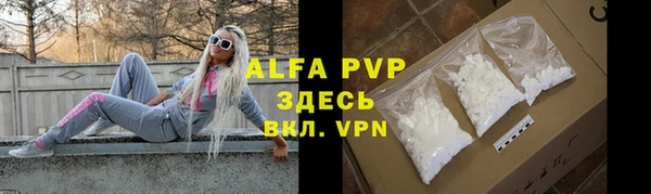 амф Магадан