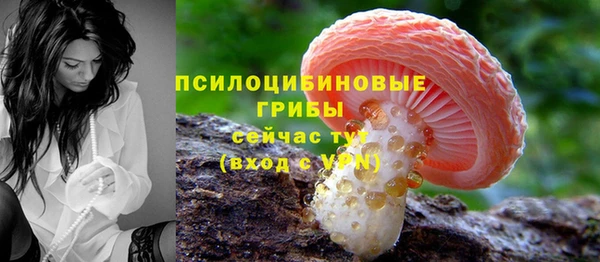 амф Магадан